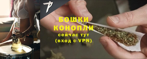 молекула духа Каменск-Шахтинский