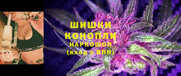 молекула духа Каменск-Шахтинский