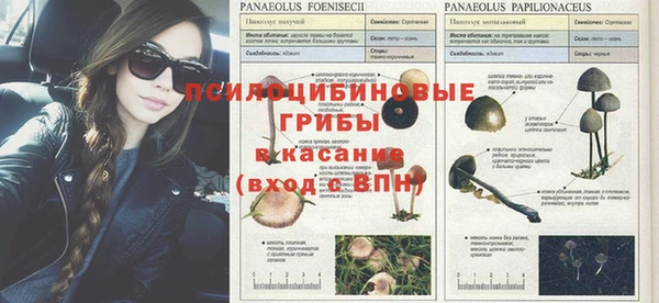 прущие крисы Инсар