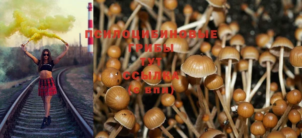 молекула духа Каменск-Шахтинский