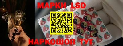 гидропоника Краснознаменск