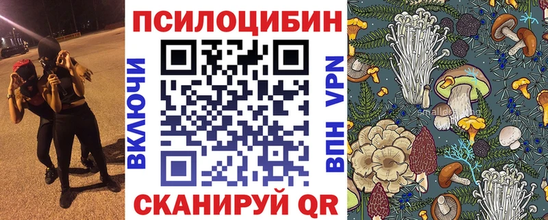 Псилоцибиновые грибы Psilocybine cubensis  гидра   darknet клад  Каменск-Шахтинский 