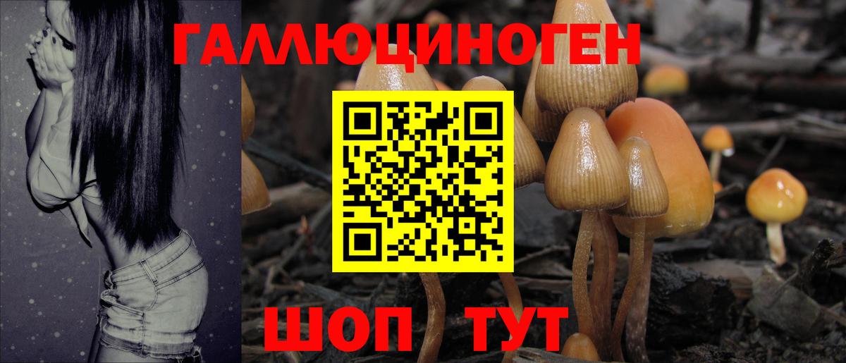 Каменск-Шахтинский  Галлюциногенные грибы Magic Shrooms  купить наркоту  Вход с VPN 